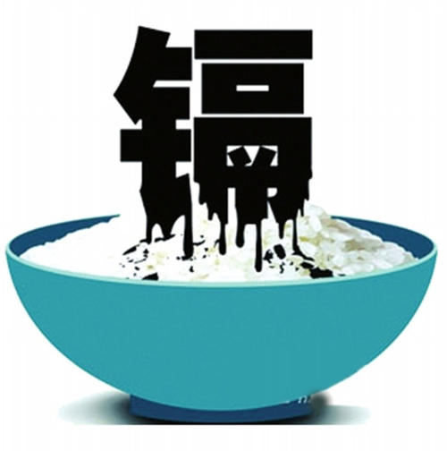 镉大米重现:"毒大米"为何屡禁不绝?