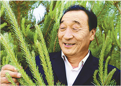 毛乌素沙漠将从陕西版图消失:栽种树木可绕赤道54圈