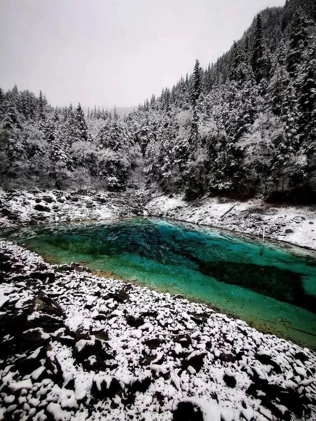 九寨沟下大雪了连下三天美如童话世界