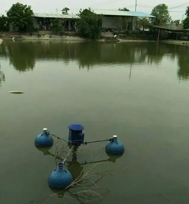 农村鱼塘排水口效果图图片