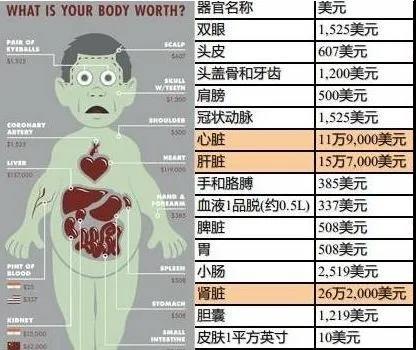 器官价格表高清图片图片
