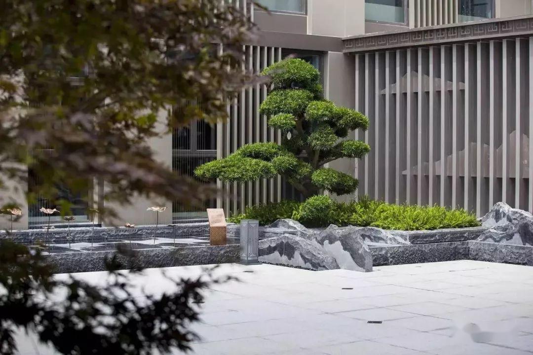 景观中的松石配