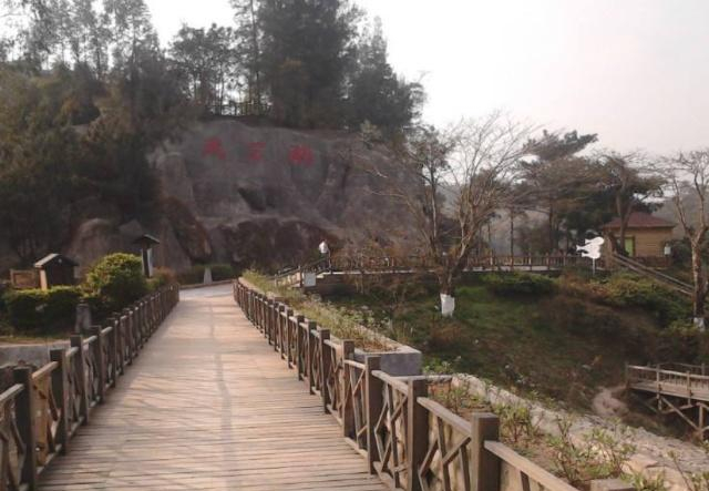 廈門天竺山森林公園,自然環境沒得說,真的非常值得一去_湖面