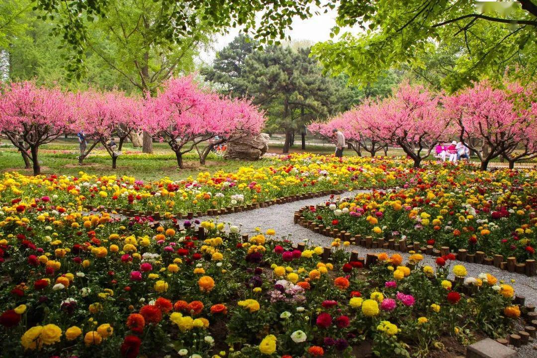 提醒北京植物園等10家公園將實行實名網絡預約購票附購票平臺一覽表