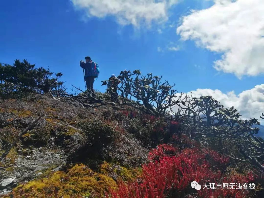 大理蒼山徒步十九峰之蓮花峰累並快樂著