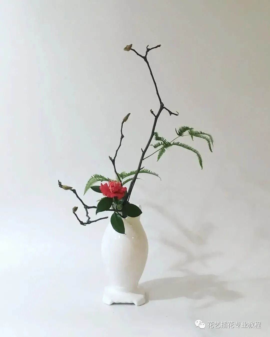 日式花道|小原流插花的历史