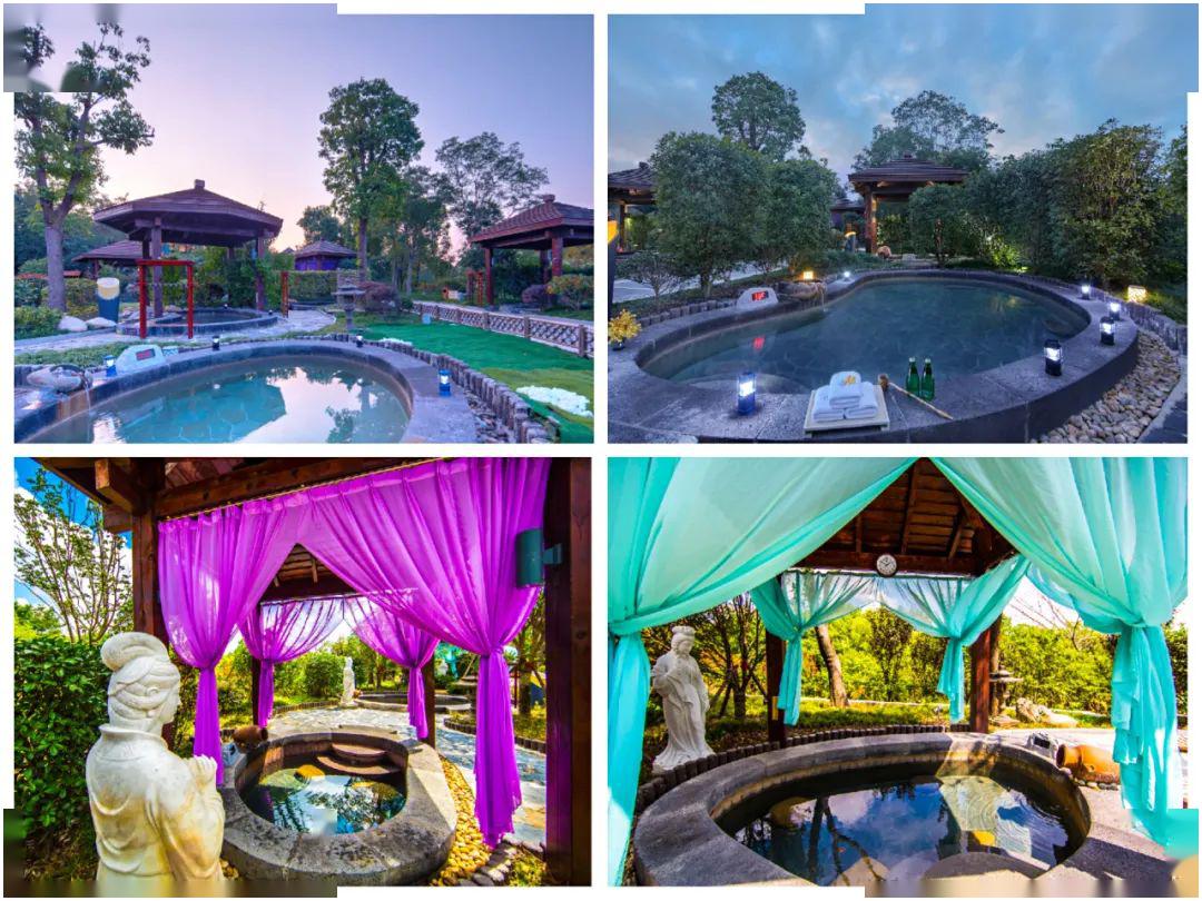 扬帆夜话丨往竹西佳处品江南韵味体验不一样的智慧之旅