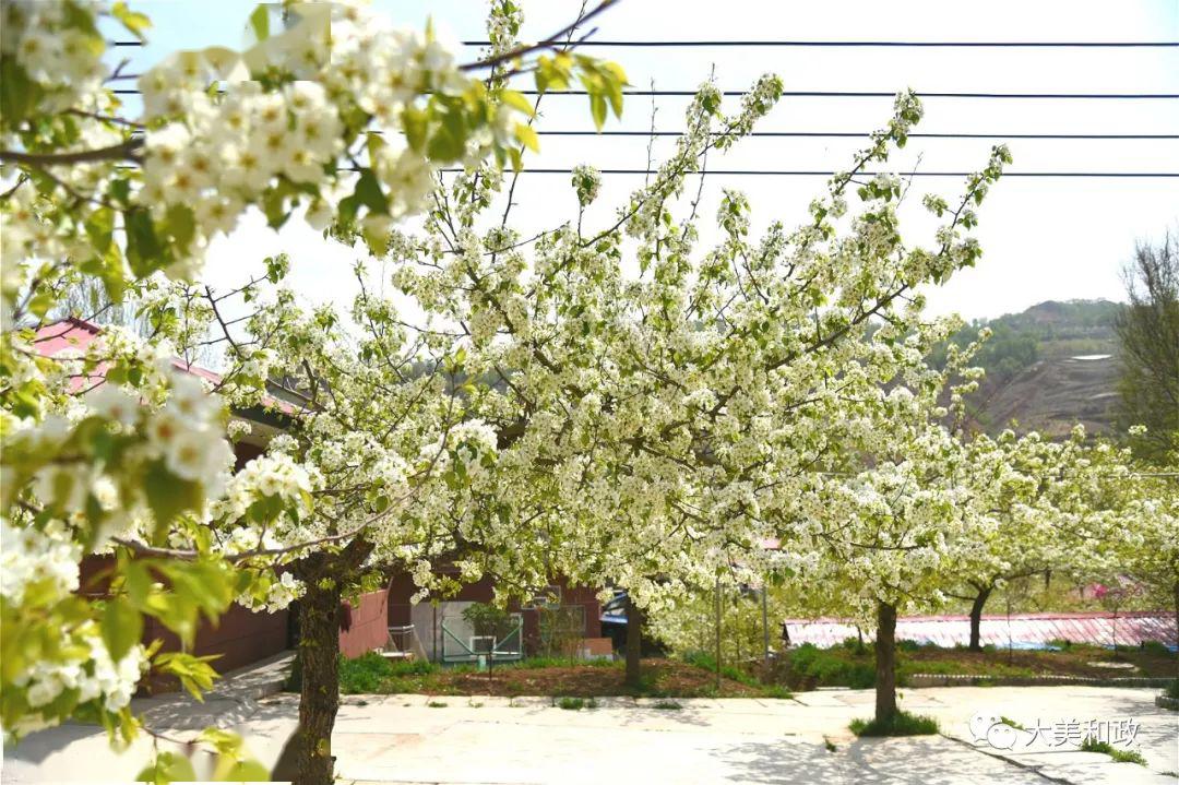 日—5月20日三十里鋪鎮碑灘村,三十里鋪村,四十里鋪村羅家集鎮小灘村