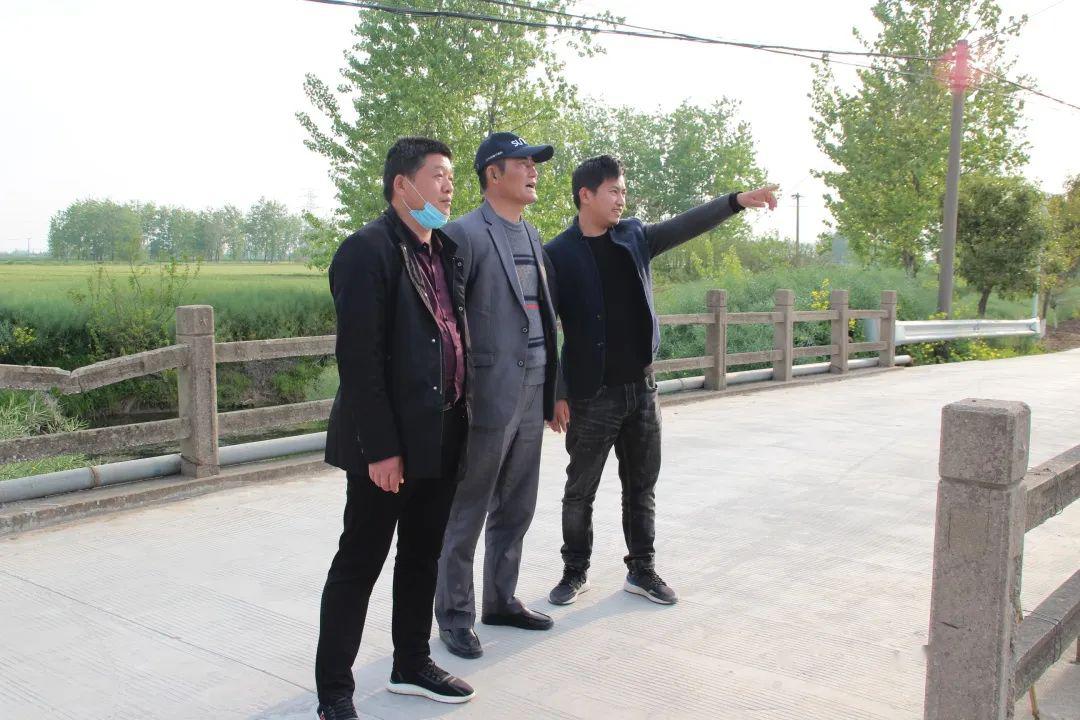 惊喜宝应射阳湖镇廖村现多只东方白鹳系国家一级保护动物