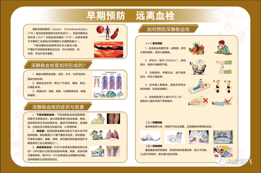 山东省立医院保健(老年)综合一科健康宣教专栏