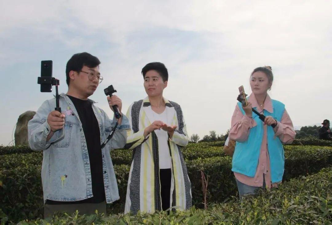 西乡县人民政府副县长陶智君通过直播镜头,向全国网友推介西乡茶叶