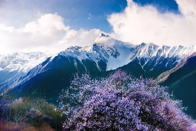 中国最美山景在哪里是黄山武陵源是庐山泰山踏春访山了