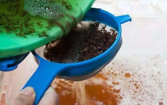 教你1分钟自制杀虫水浇水加1勺根壮不生虫