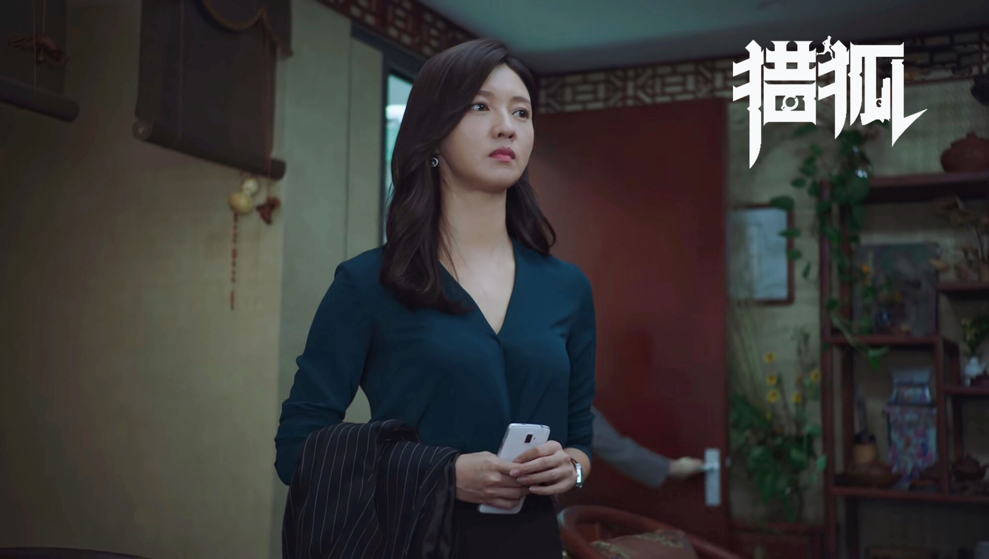王凯,王鸥,胡军,刘奕君,傅晶,邓家佳等联合主演的跨国追逃经侦题材