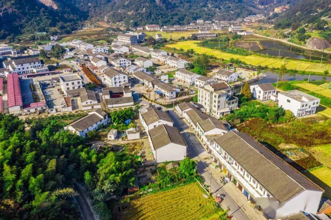 钱库这个村最近出名了我想去走一走