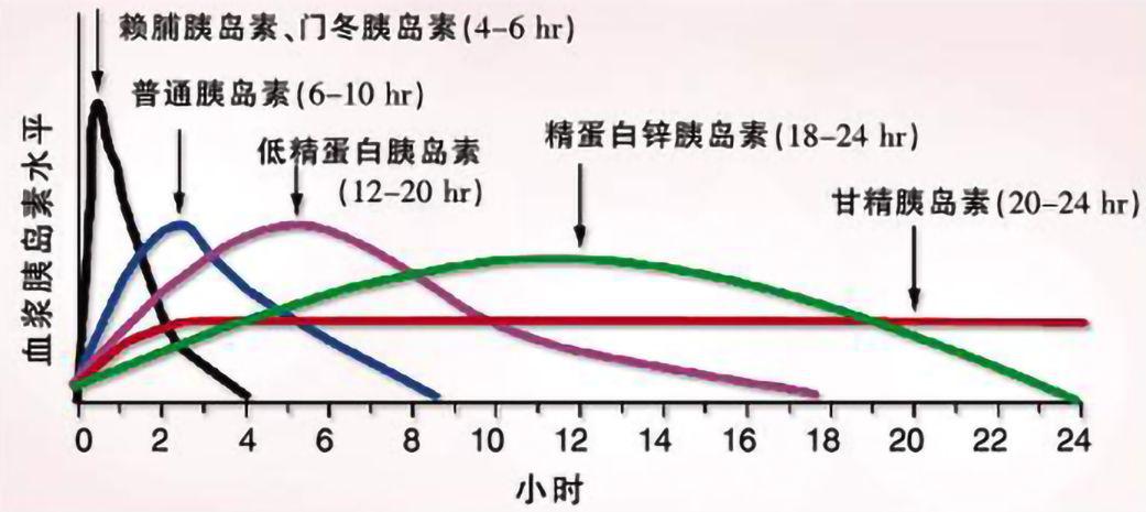 胰岛素分泌曲线图图片