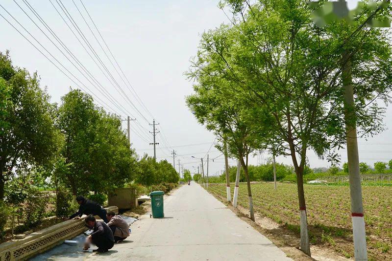 桥底镇刘孟村乡村美颜模式开启