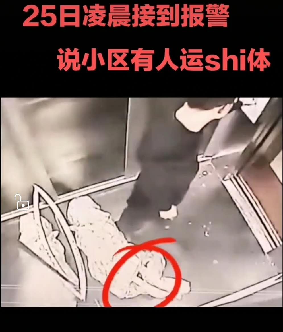 电梯死人图片