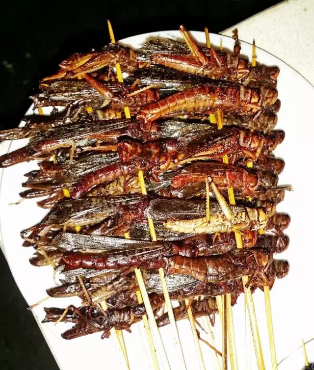 在国外,也有当代还保持这一食虫食俗的民族:美洲人喜食蚂蚁,法国人喜