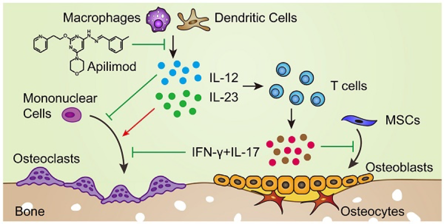 科研绘图炎症中心作用的白细胞介素3