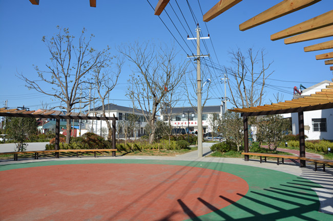 来安县水口镇念好三字经让文明村镇丽尚佳绿