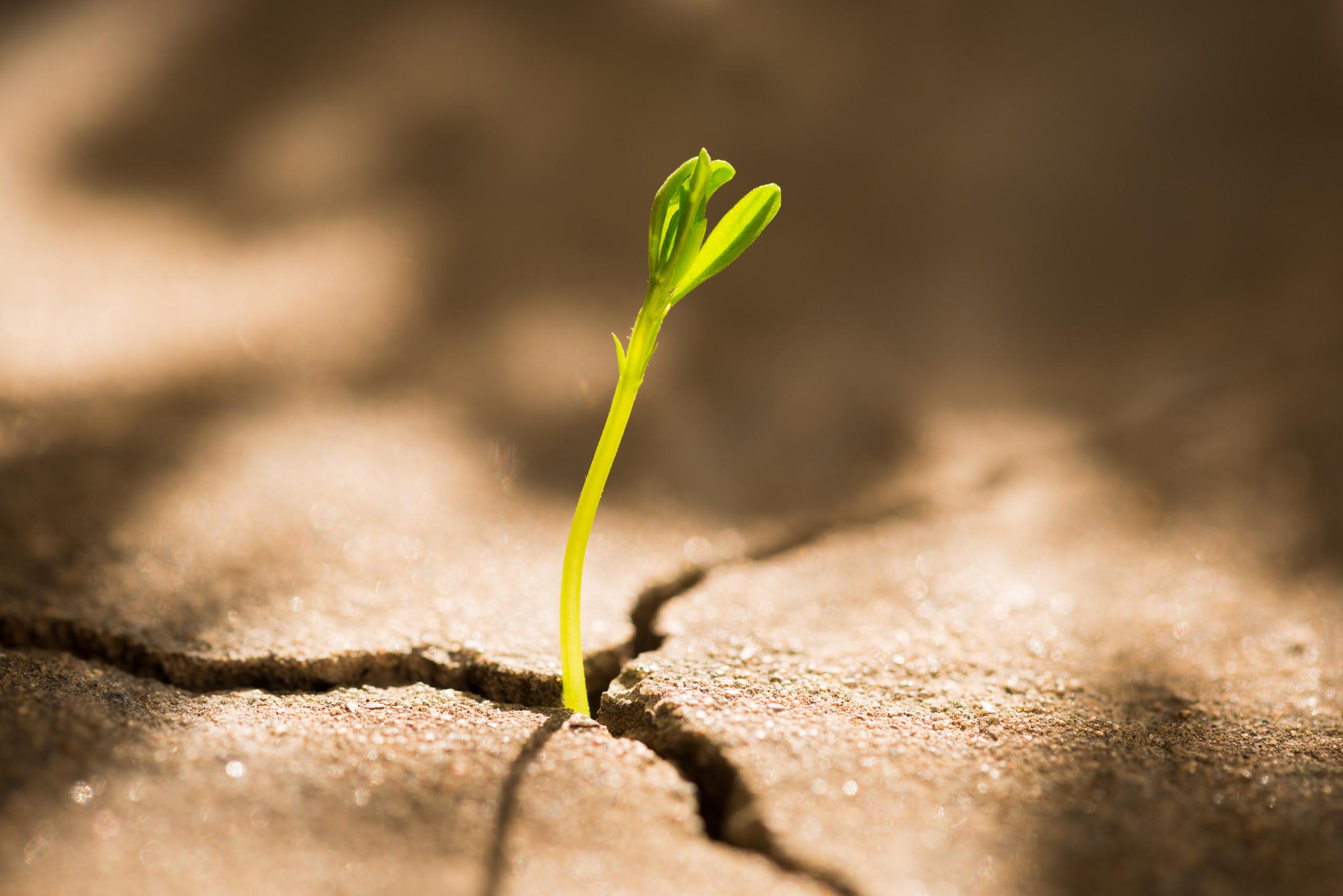 面临退市途牛旅游网或许还有一线希望