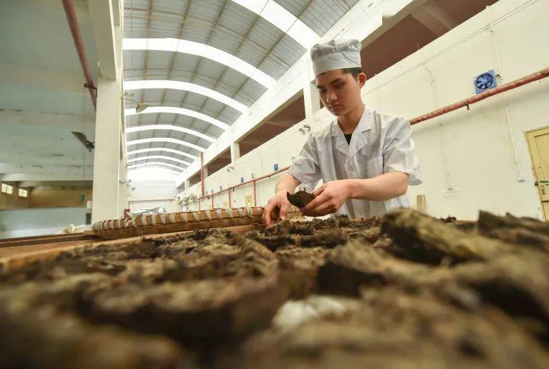 烘焙茶叶的基本经验法则