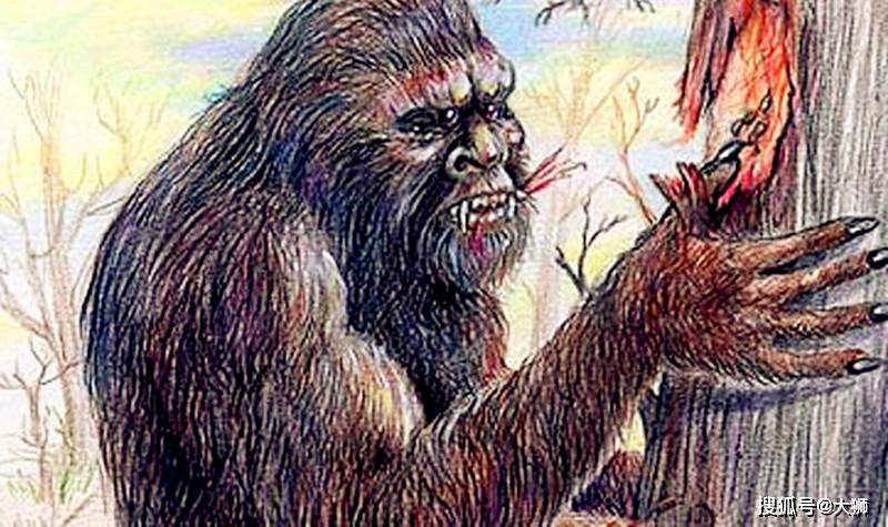 原创老话说关东有毛人此言非虚挖参人自述遇到毛人的经历