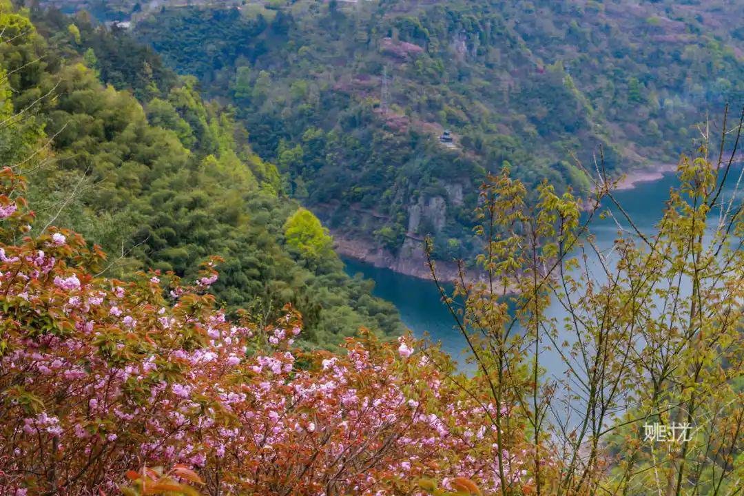 惊喜与柿子林古村遥遥相望的这个小村竟能美得如此不一样