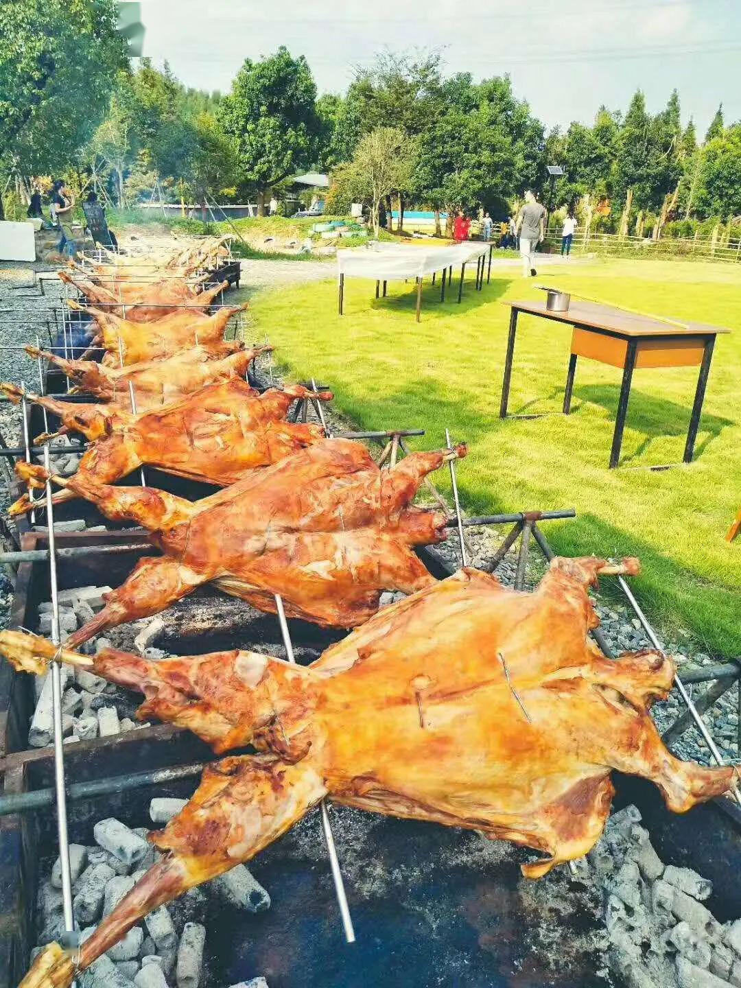 杭州硬核遛娃攻略公司团建萌宠喂养钓小龙虾这个五一玩到爽