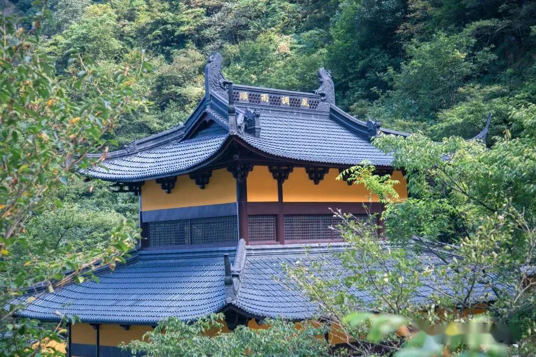 【空中飞碟】丨5.4号安吉灵溪山映山红花海盛放,浪漫整个春天