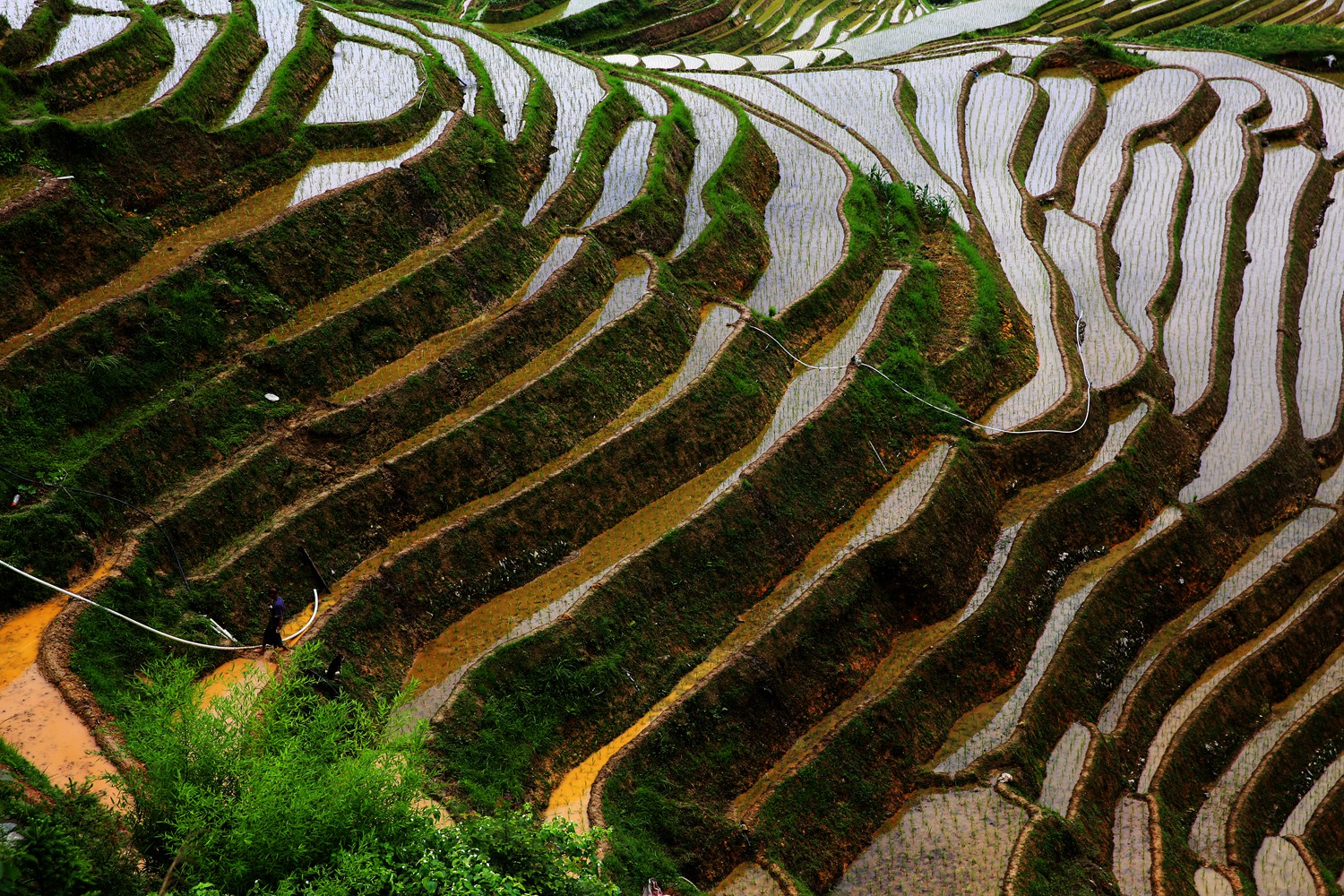 沧海桑田 农业景观美在华夏