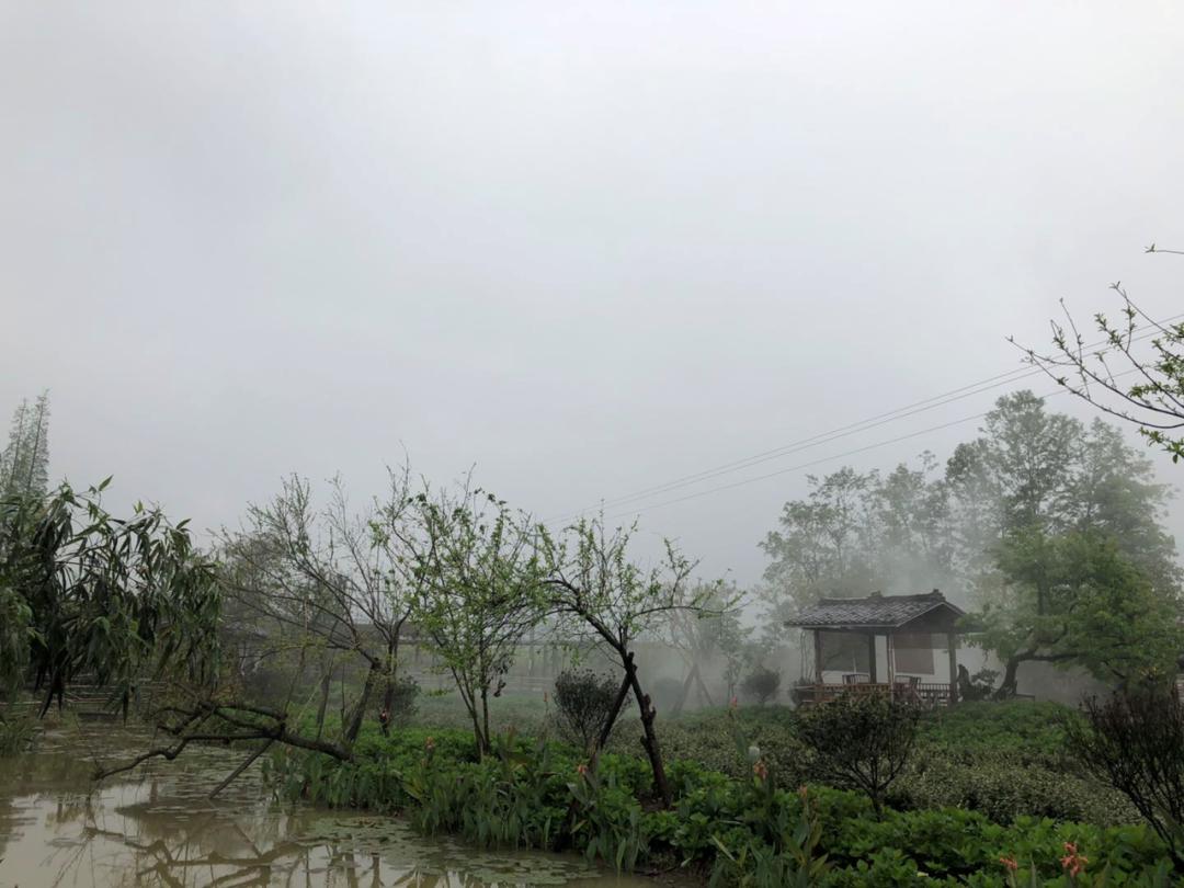 峨眉简陋田野图片