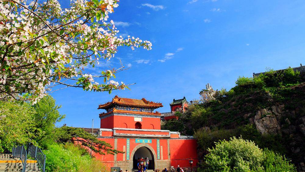 原创人间四月芳菲尽五月的泰山最壮美岱顶海棠花开成海令人迷醉