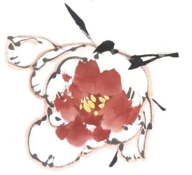 国画教学牡丹花头的各种画法