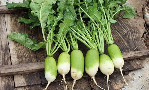 俗语"娶妻不娶仰脸婆,嫁人不嫁低头汉",仰脸,低头怎么了?_萝卜