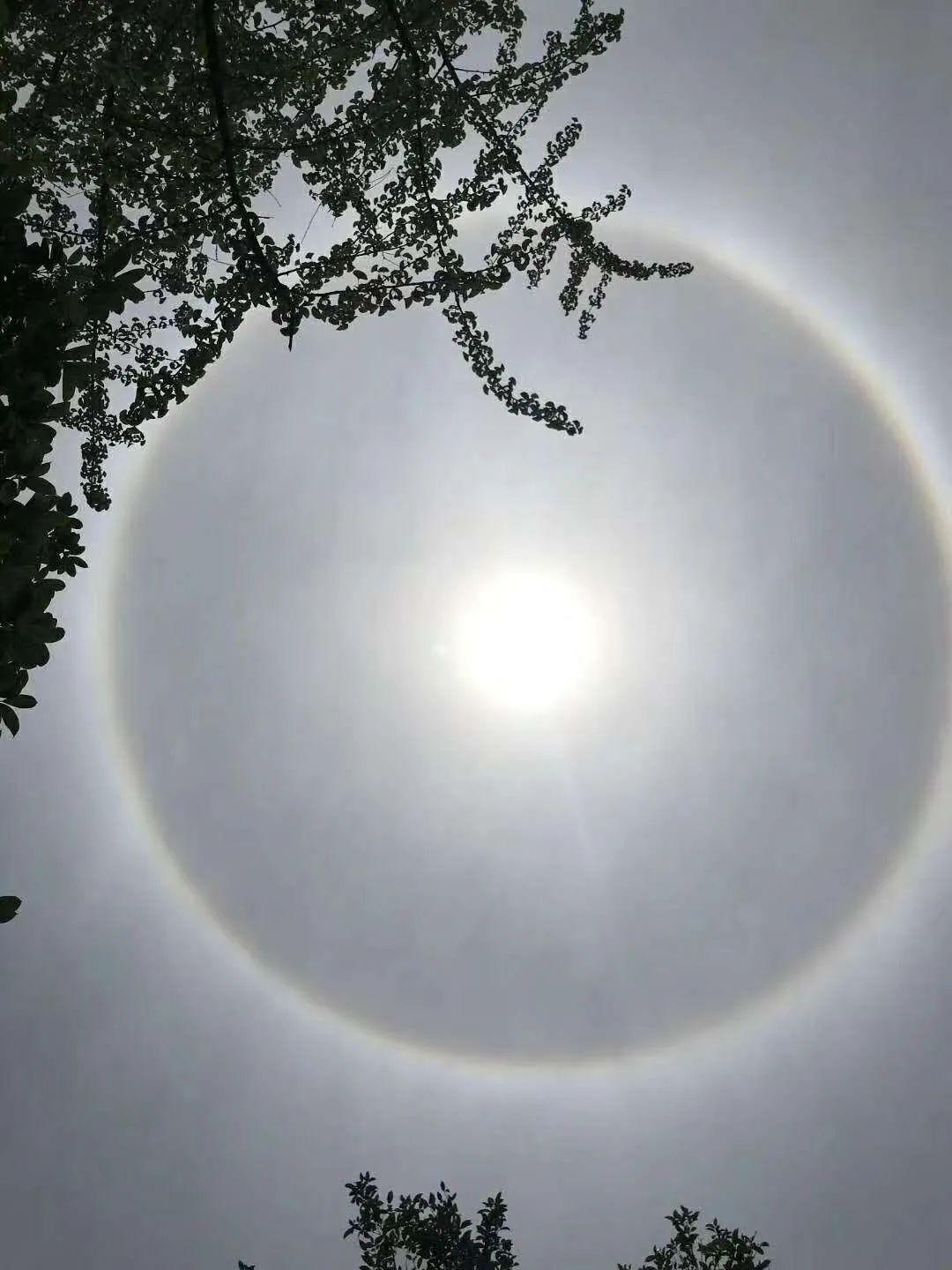 在兴宁梅城五华丰顺等这样的天气不单在大埔像被圆形彩虹拥抱着