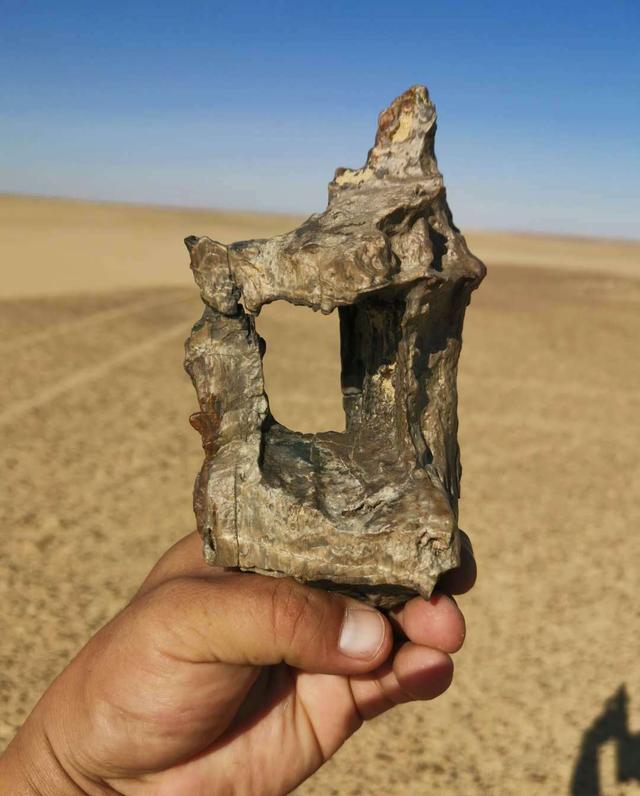张树永不仅是国内在埃及撒哈拉沙漠捡石的第一人,而且还是将埃及奇石