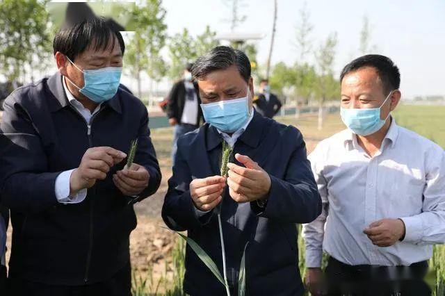 河南省副省长武国定来郸调研