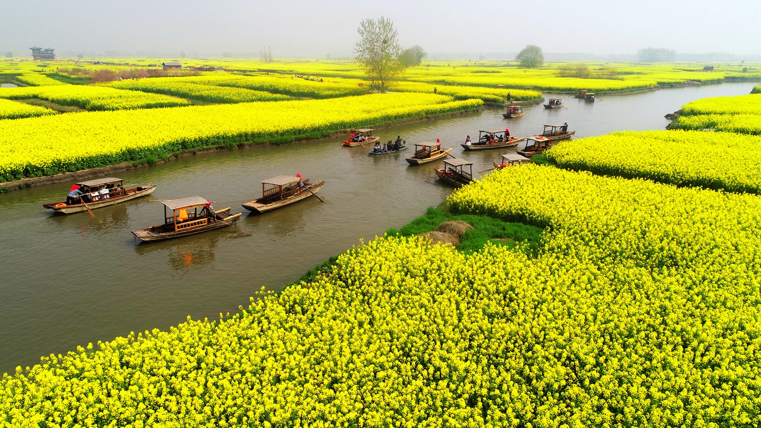 沧海桑田 农业景观美在华夏
