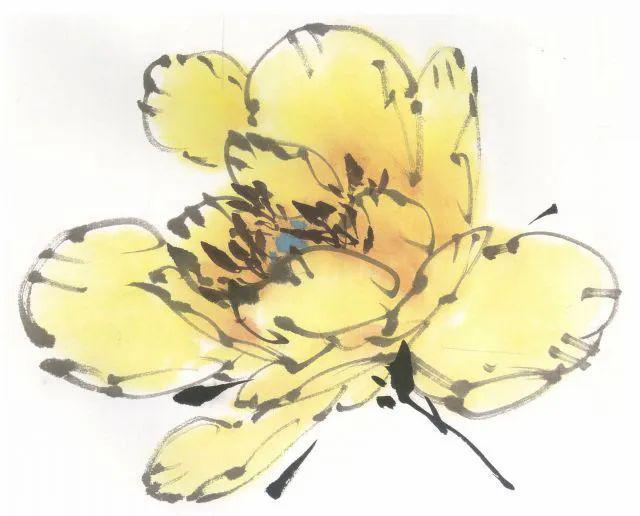 国画教学牡丹花头的各种画法