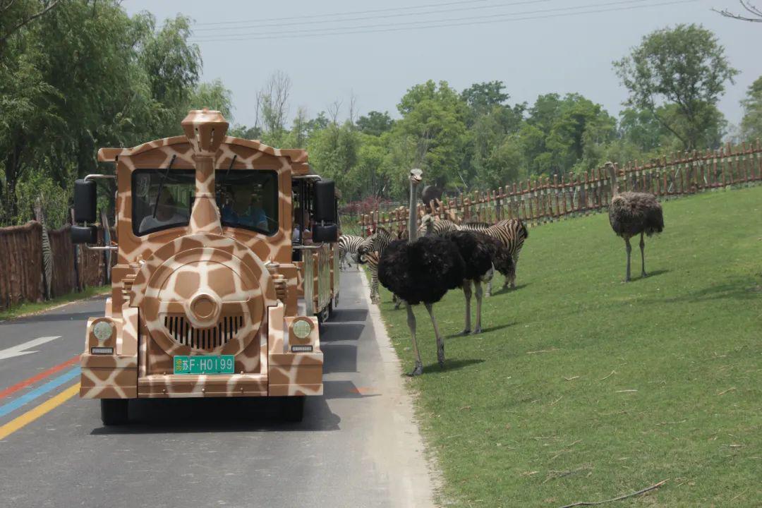 限量搶購尖叫吧南通野生動物園成人門票買一送一