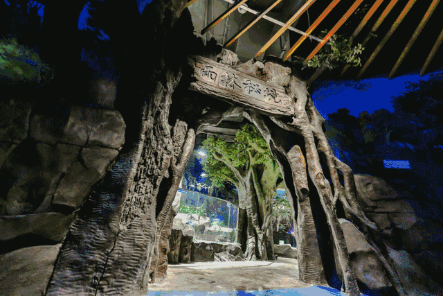 惠州狮子城生态乐园图片