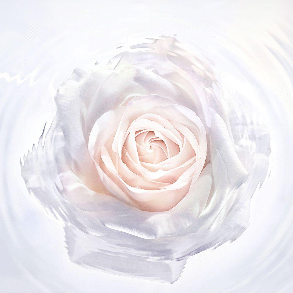 全新迪奥花秘光皙耀启肌肤净透亮diorbeauty