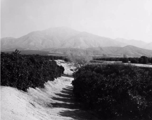 罗伯特亚当斯新地形摄影的领军人物