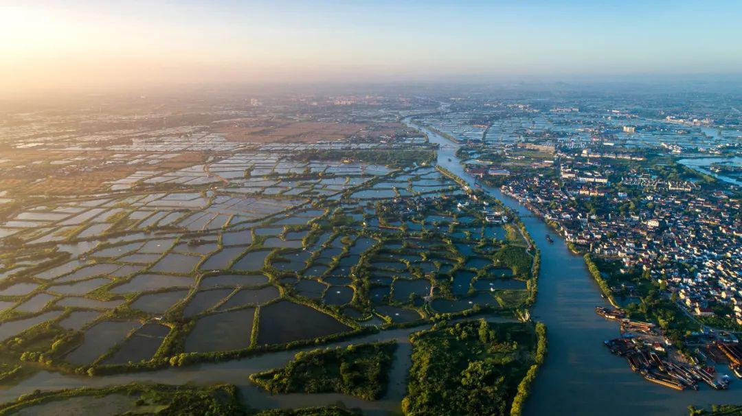 "湖州桑基塘鱼"国家农产品地理标志品牌推介会召开_鱼塘