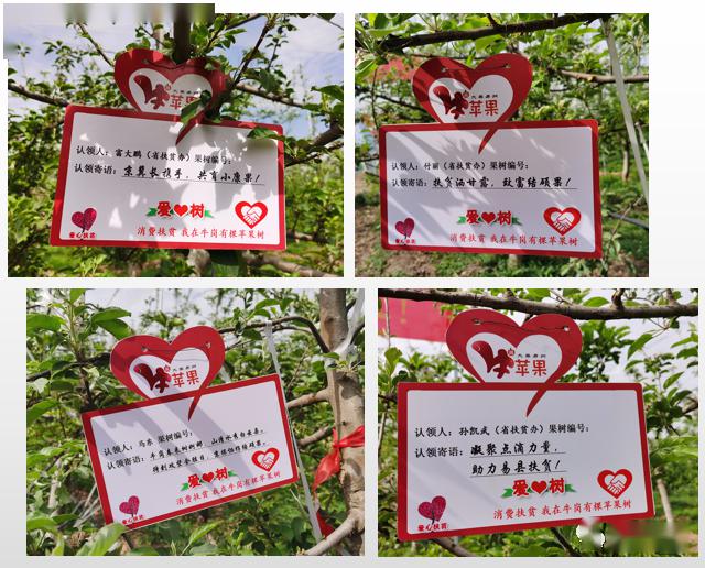 我在牛岗有棵苹果树认领仪式暨易县2020消费扶贫年开幕式圆满举办