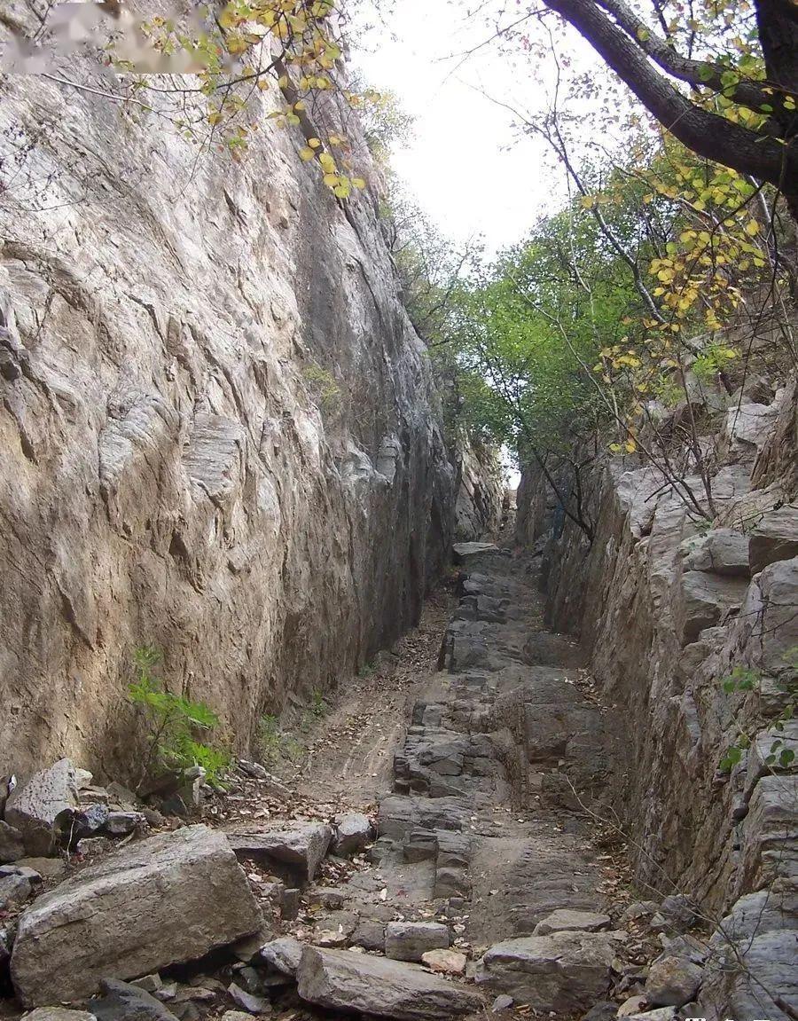 又是一年槐花季濟南經典路線藏龍澗報恩塔登山賞景採槐花