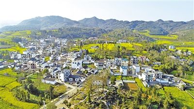 美丽乡村似画卷—罗平乡村人居环境整治小记 _建设