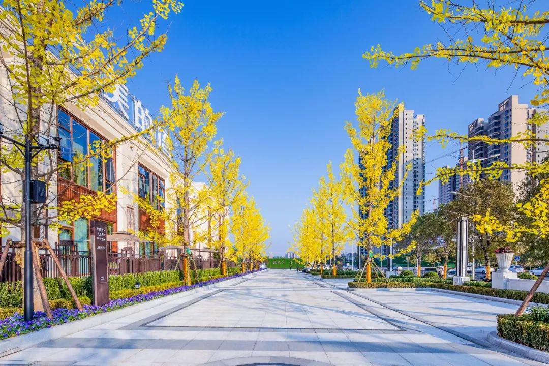 主入口广场整体以秩序,和谐的大都会风格线条肌理和景观表现,沿袭均衡